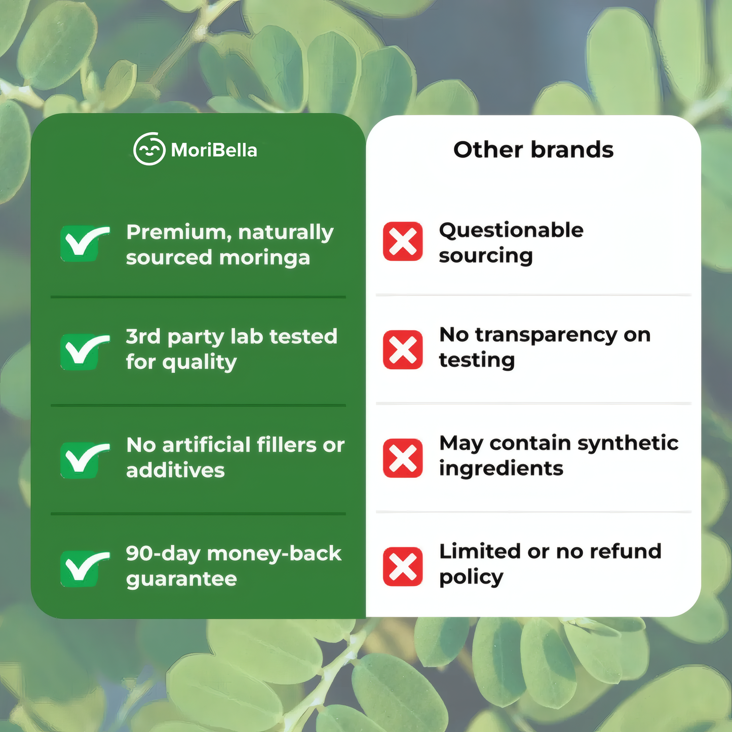Moribella Moringa